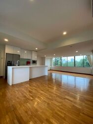 Nassim Regency (D10), Condominium #598237951